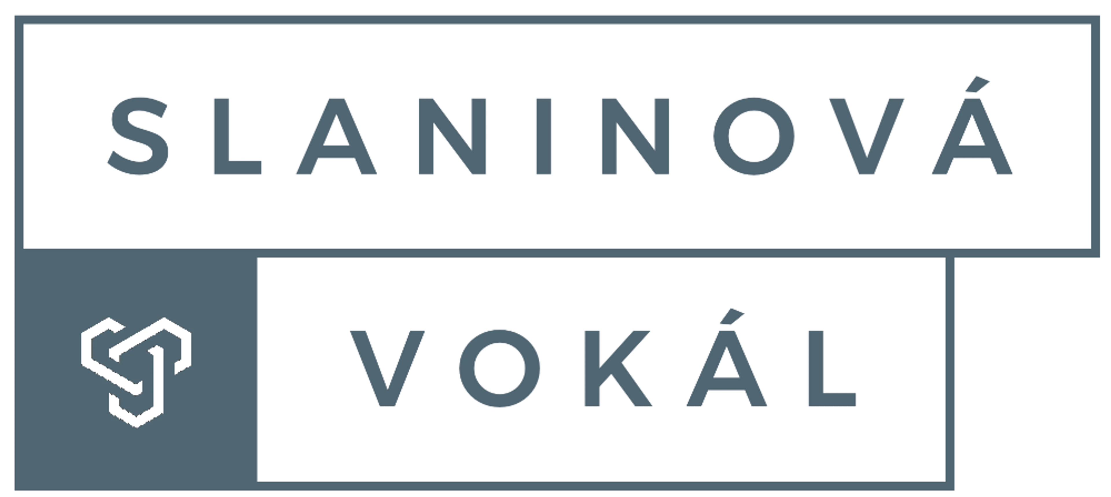 SLANINOVÁ VOKÁL